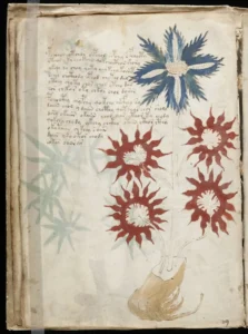 ANCIENT SIMULATION CLUES: The Voynich Manuscript: The Book Nobody Can Read